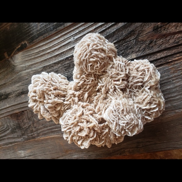 Desert Rose Beautiful Large - Picture 2 of 7